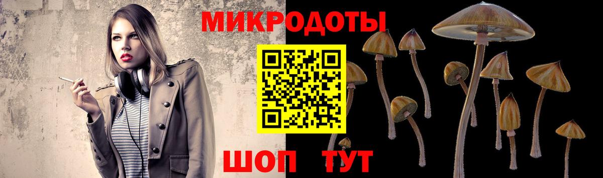 купить  цена  Псилоцибиновые грибы ЛСД  Каменск-Шахтинский  Вход с VPN  Псилоцибиновые грибы мухоморы 