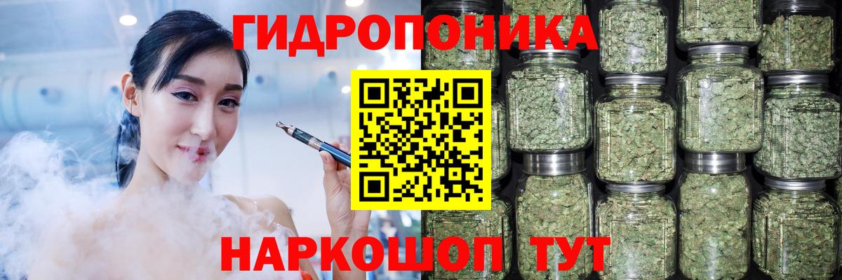 Бошки Шишки семена Каменск-Шахтинский